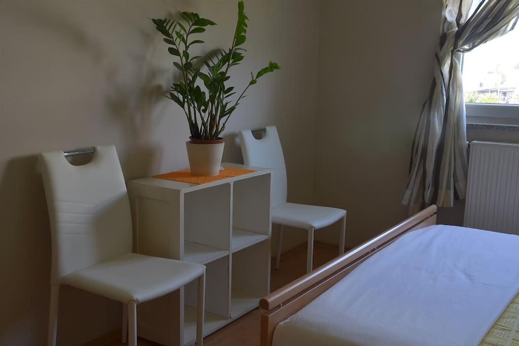 Apartman Ana Pula - Calm, Free Parking, Close To Center Exteriér fotografie
